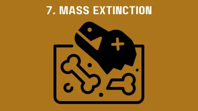 Mass Extinction