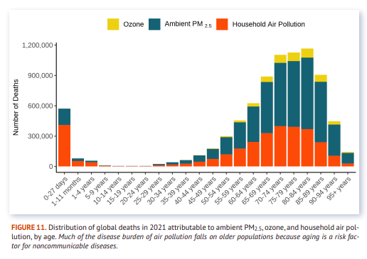 Distribution of global deaths in 2021 attributable to ambient PM2 .5, ozone, and household air pol lution, by age